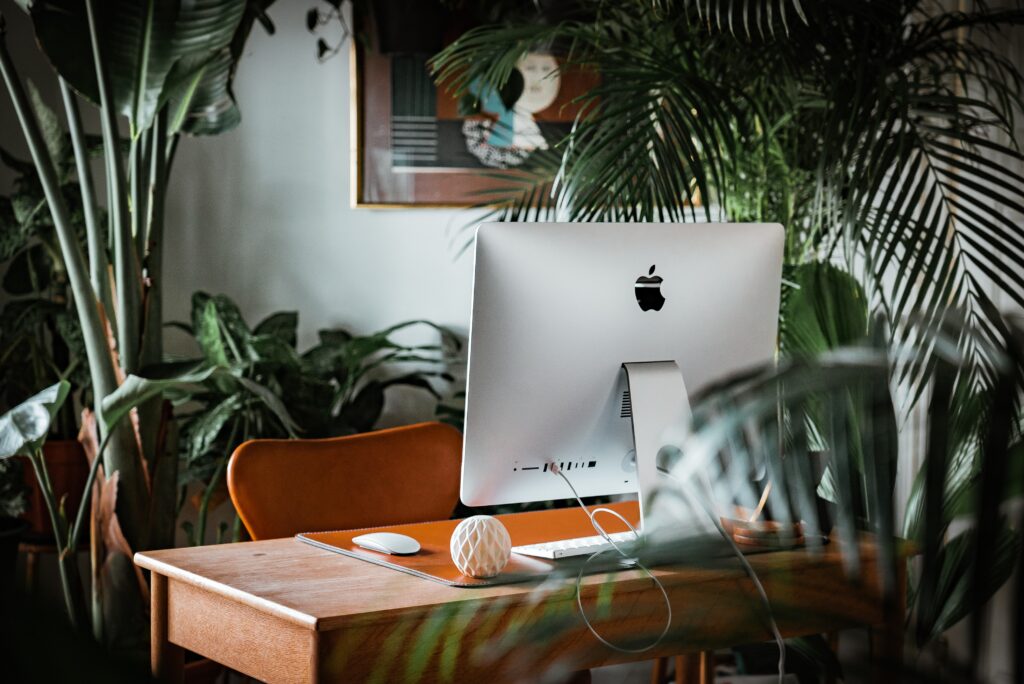 iMac na stole obkléném rostlinami